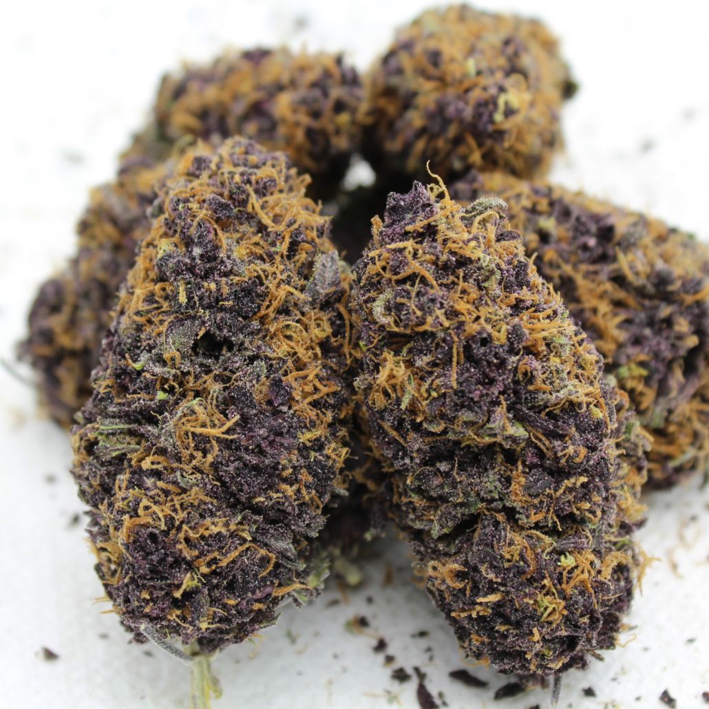 Huckleberry Pepper - 12 Regular Seeds - Annunaki Genetics