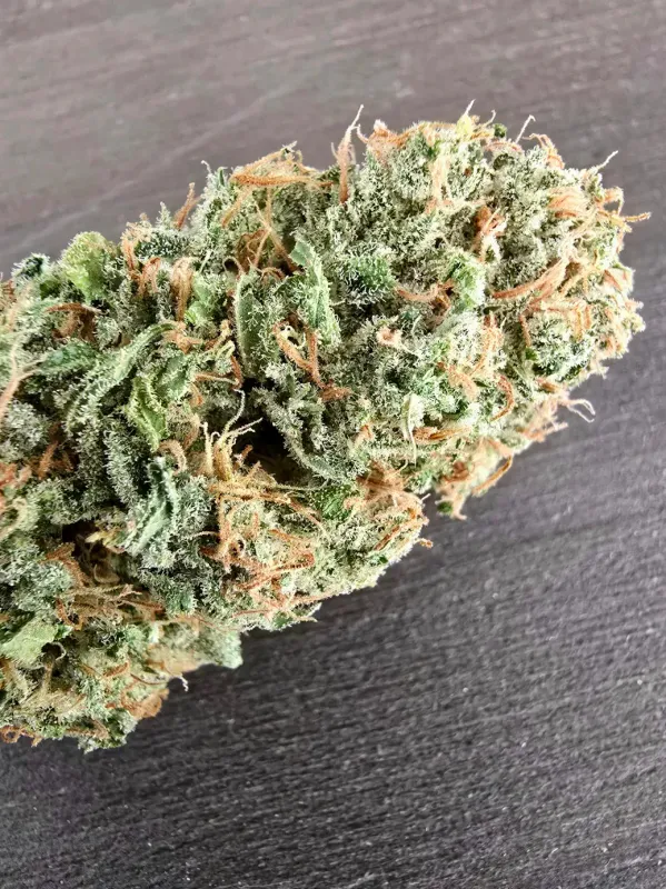 Jack Herer x (Grape Pupil 2 x Wahine Moon) - 10 Regular Seeds - Aloha Island Genetics