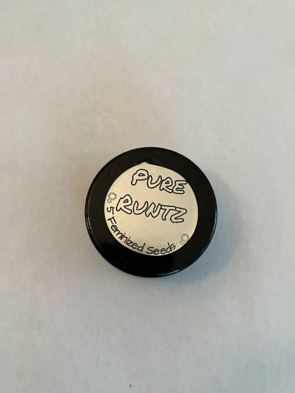 Runtz S1 Fem - 5 Seeds - MMS Vault