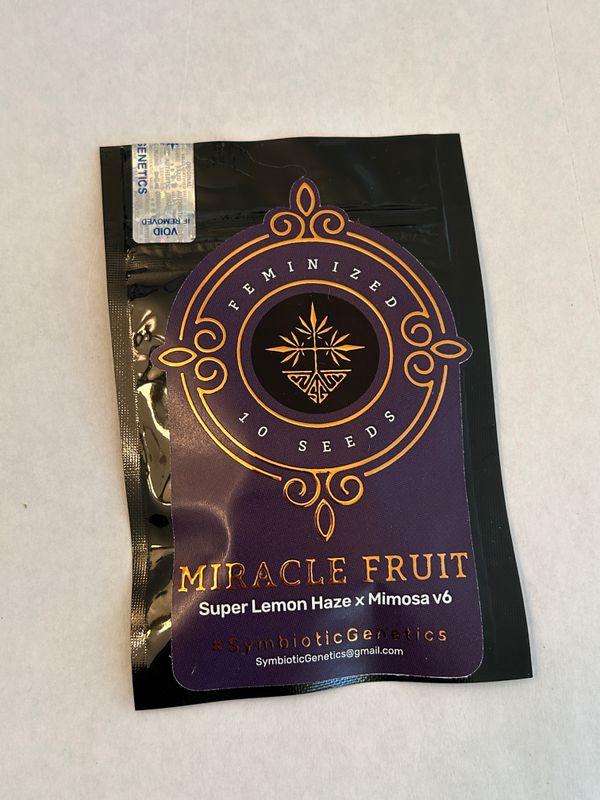 Miracle Fruit Fem Seeds - Symbiotic - Super Lemon Haze x Mimosa V6 - MMS Vault