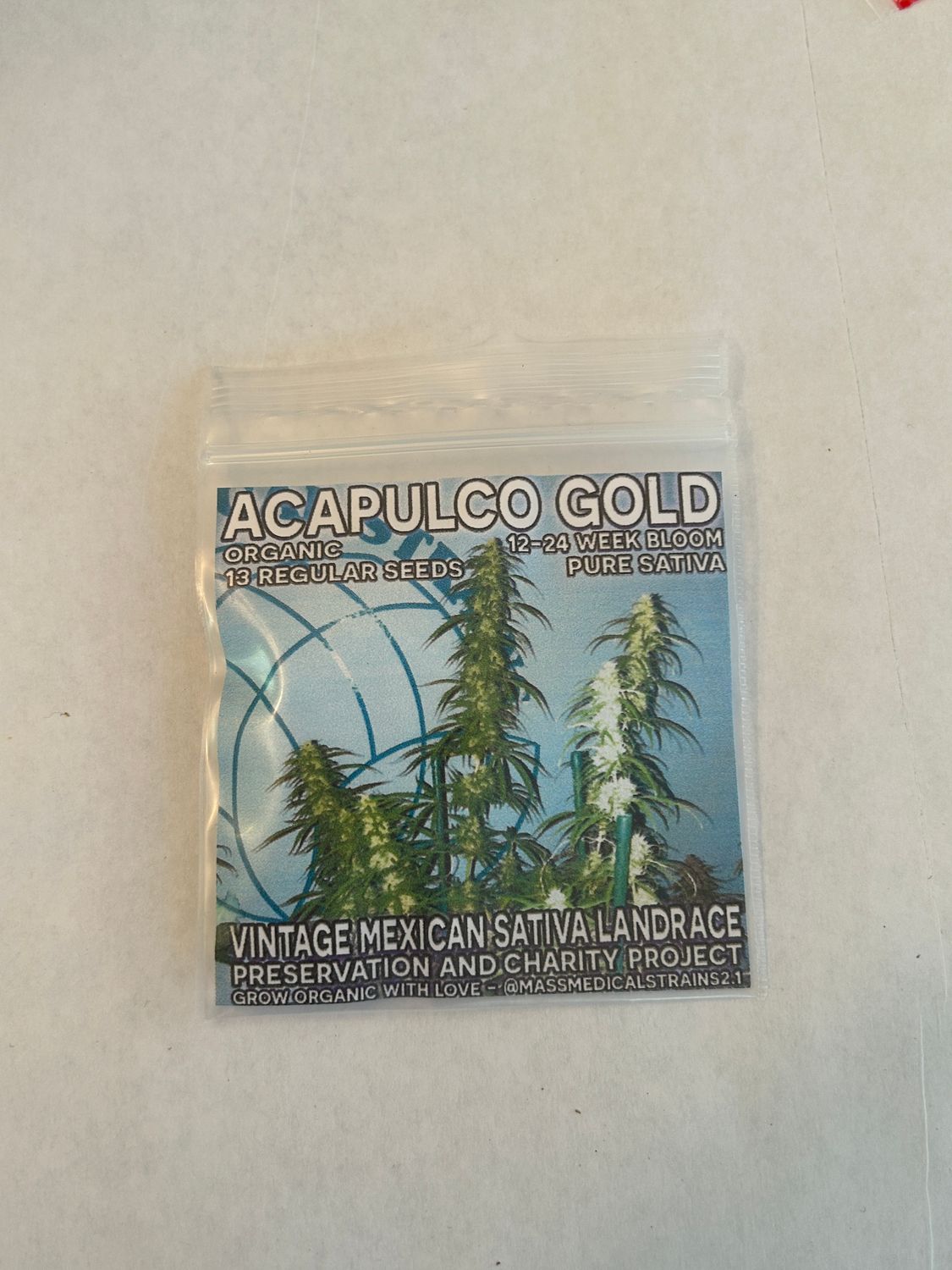 Acapulco Gold - 13 Regular Seeds - MMS Vault