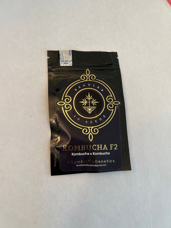 Kombucha F2 Fem Seeds - Symbiotic - Sour Diesel x Purple Punch F2 - MMS Vault