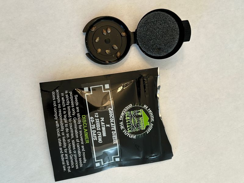 White Chocolate Fem *Open Pack, 9 Seeds* - In House - MMS Vault