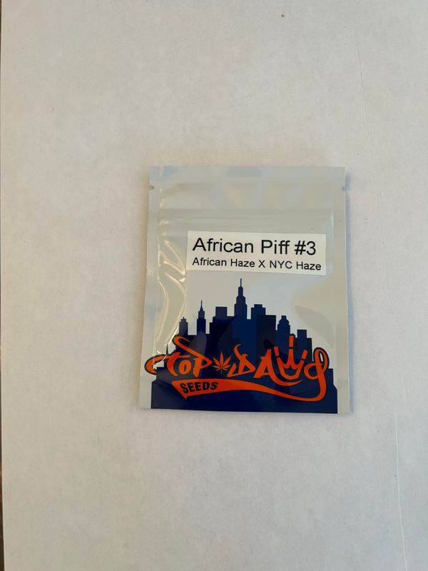 African Piff #3 - Top Dawg Seeds - MMS Vault