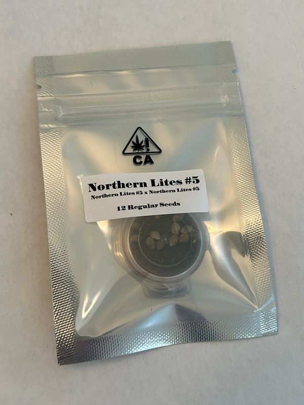 Northern Lights #5 Regular CSI Humboldt - MMS Vault