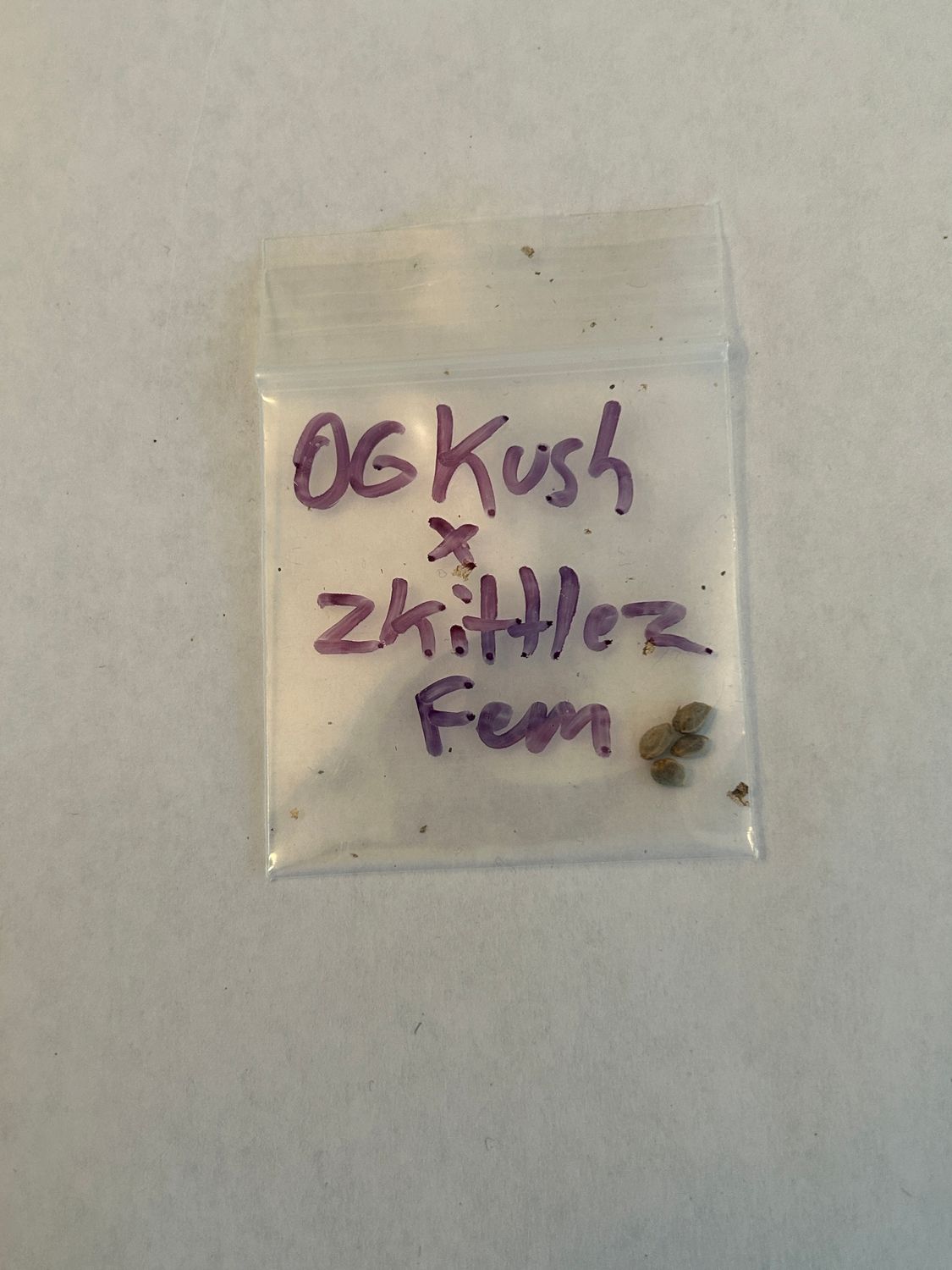 OG Kush x Zkittlez 4 Fem Seeds - 1 of 1 Pack - Mass Medical Strains - MMS Vault