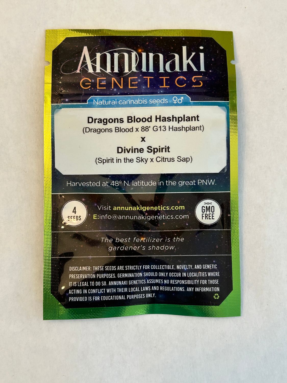 Dragons Blood HP x Divine Spirit - Annunaki 4 Regular Seeds - MMS Vault