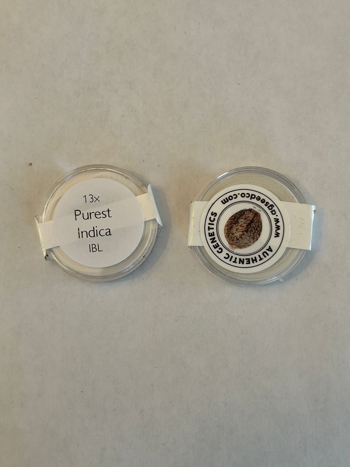 Purest Indica AG Seed Co - MMS Vault
