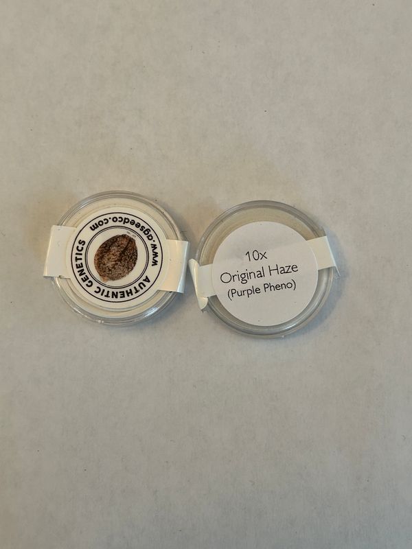Original Haze (Purple) AG Seed Co - MMS Vault