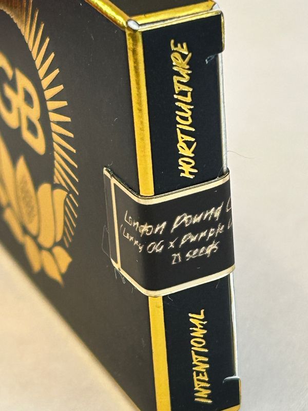 London Pound Cake x (Larry x Purple Unicorn F3) Regulars - Green Bodhi Genetics x Bodhi Seeds Collab - MMS Vault