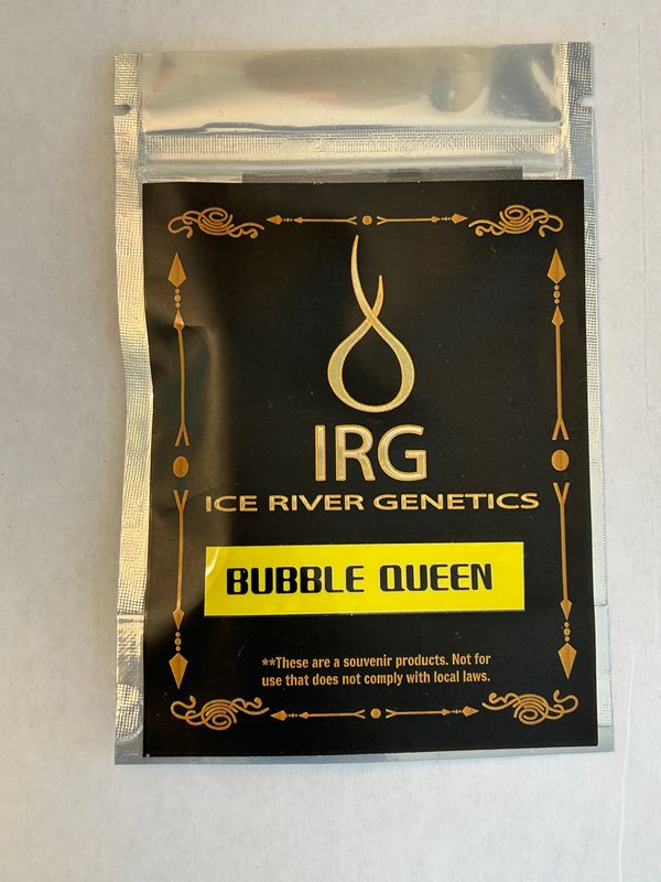 Bubble Queen - Ice River Genetics - MMS Vault