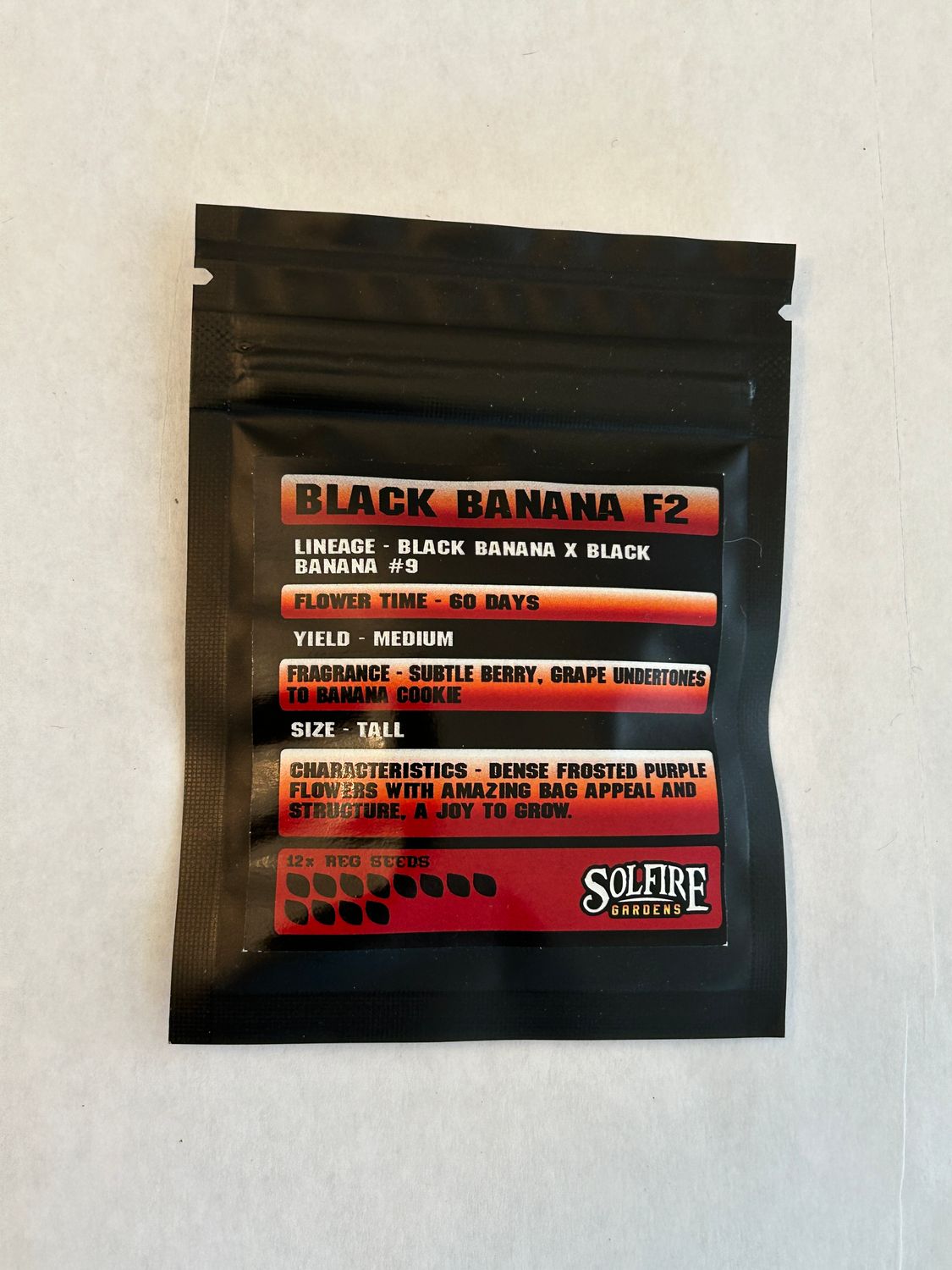 Black Banana F2 Reg - Solfire Genetics - MMS Vault