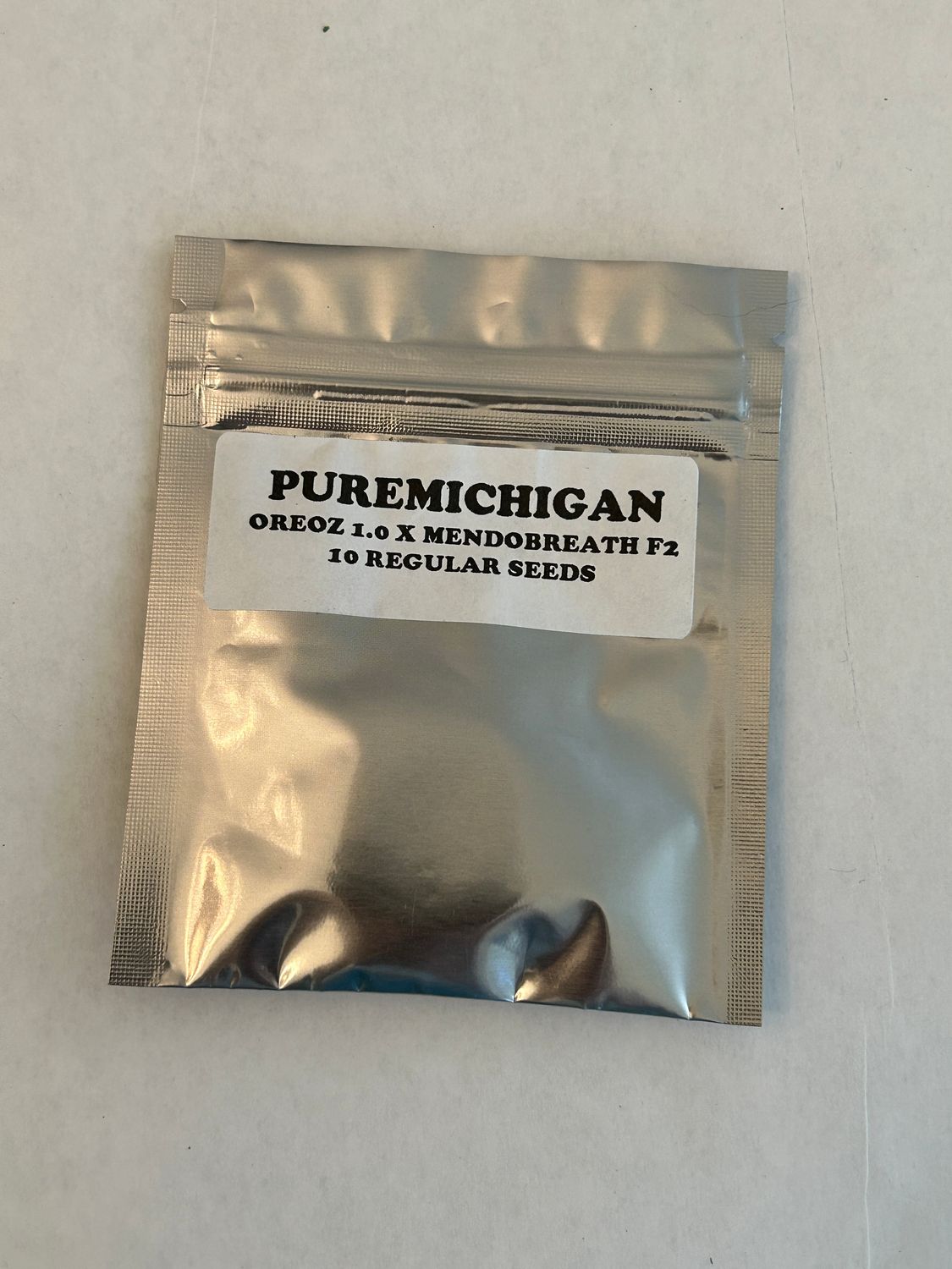 Pure Michigan - 3rd Coast - MMS Vault