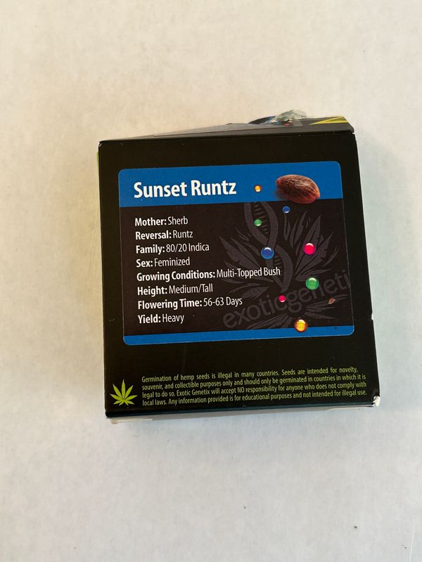 Sunset Runtz Fem Seeds *Damaged Package, Seeds are Fine) - Exotic Genetix - MMS Vault