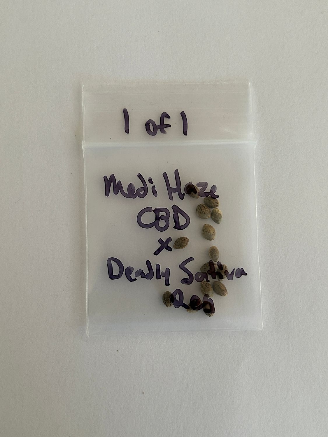 Medi Haze CBD x Deadly Sativa Regular - 13 Seeds - 1 of 1 - MMS Vault