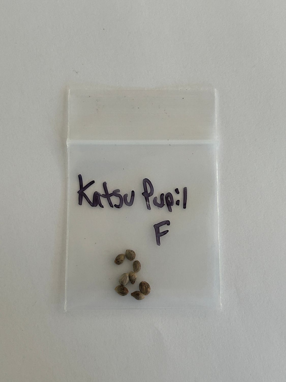 Katsu Pupil 7 Fem Seeds - MMS Vault