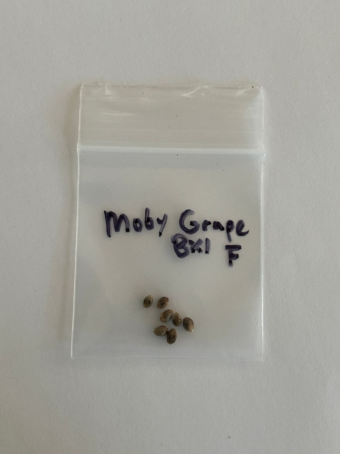Moby Grape Bx1 7 Fem Seeds - MMS Vault