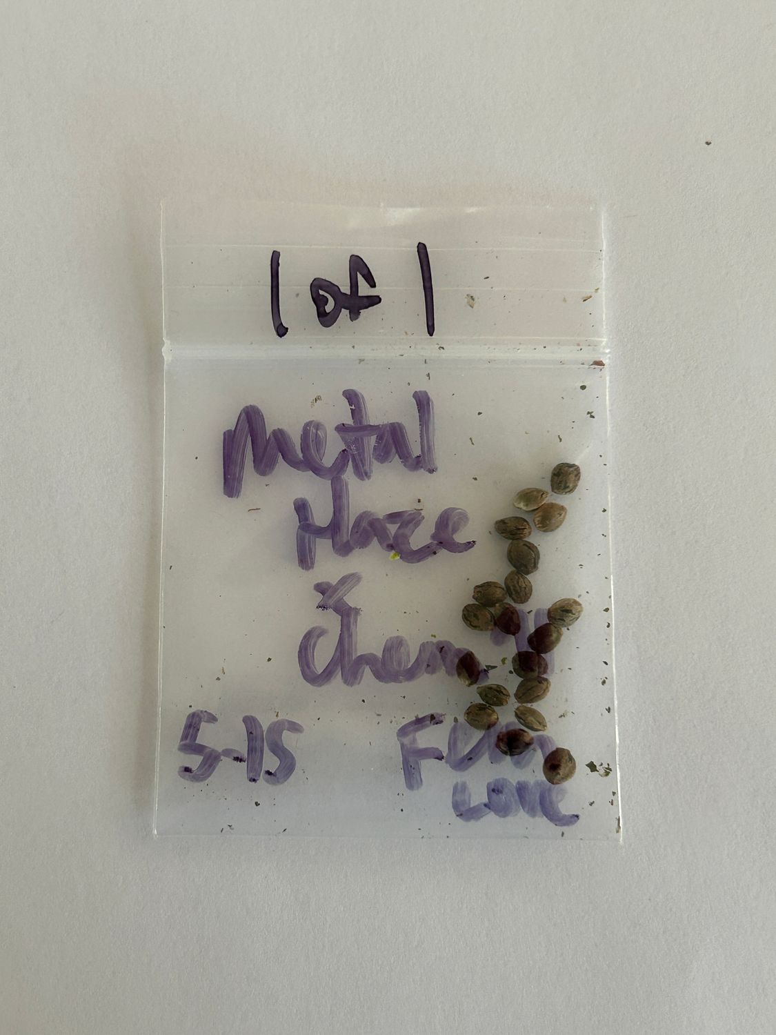 Metal Haze x Chem 91 - 19 Fem Seeds - 1 of 1 - MMS Vault