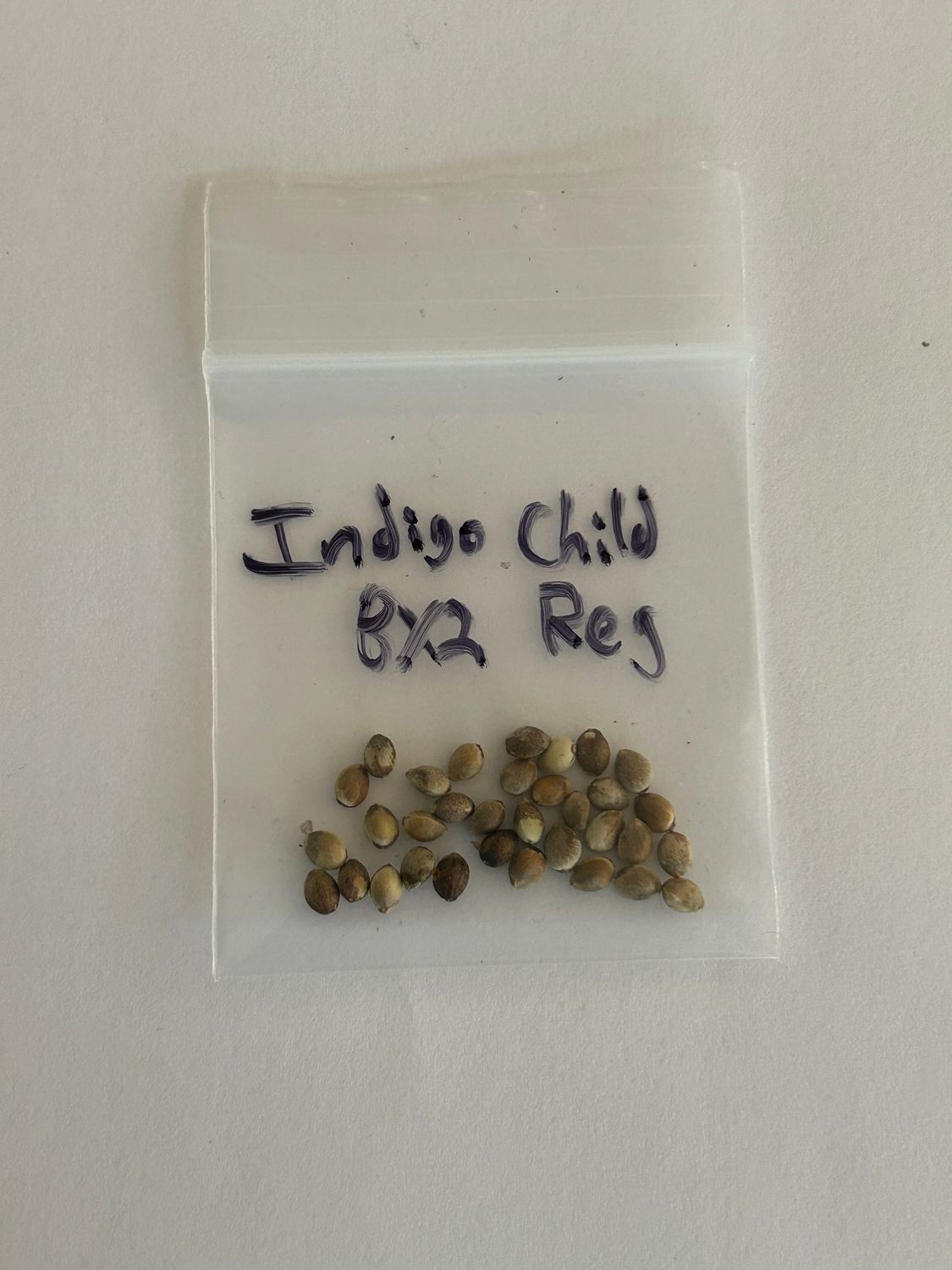 Indigo Child Bx2 -13 Reg Seeds - MMS Vault