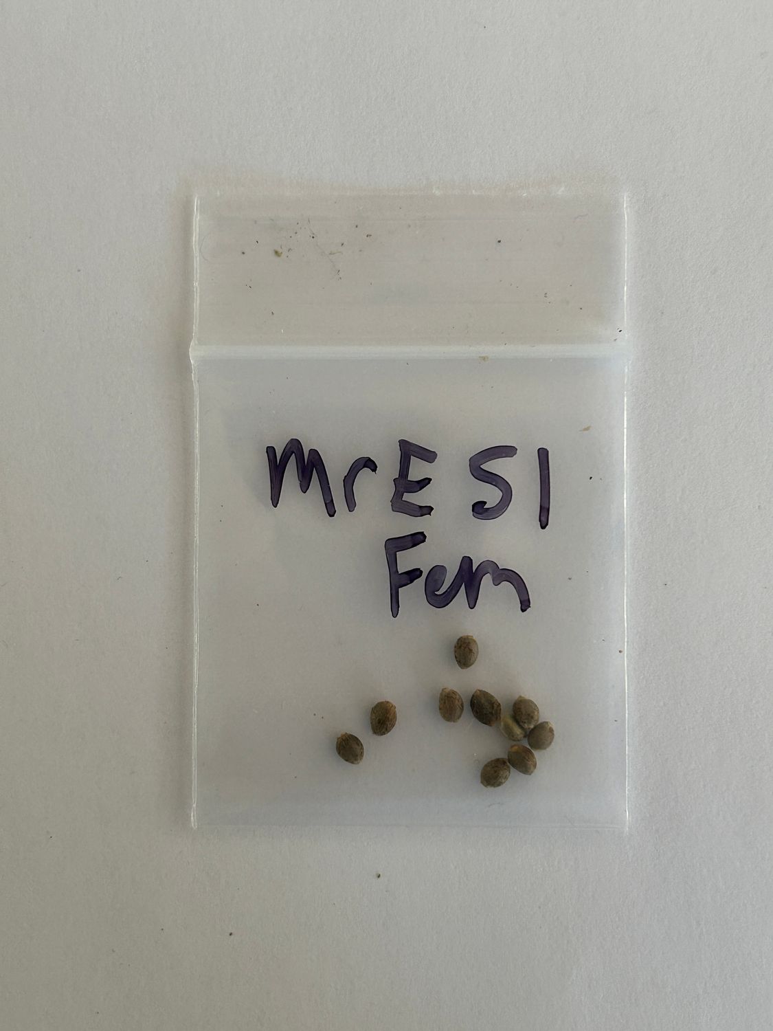 Mr E S1 - 7 Fem Seeds - MMS Vault