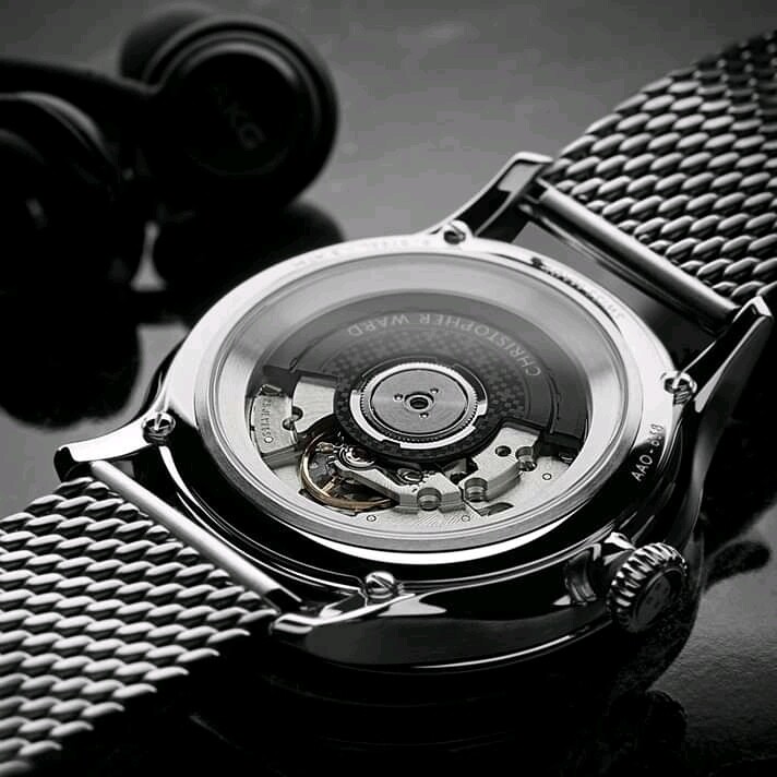 Wrist watch