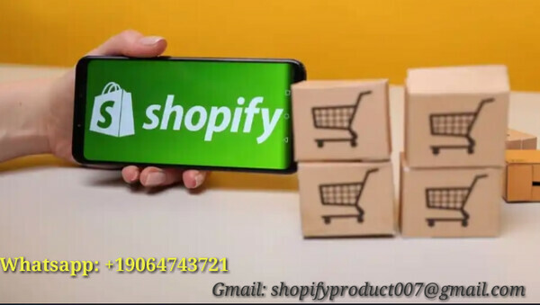  Shopify Online store
