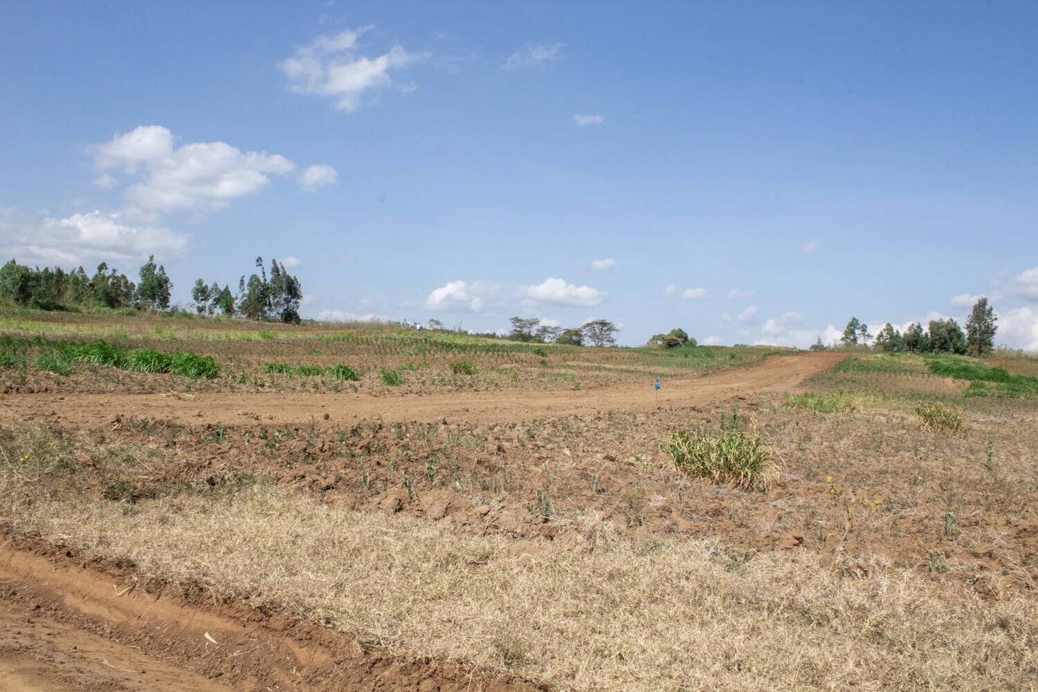 Tumaini Estate