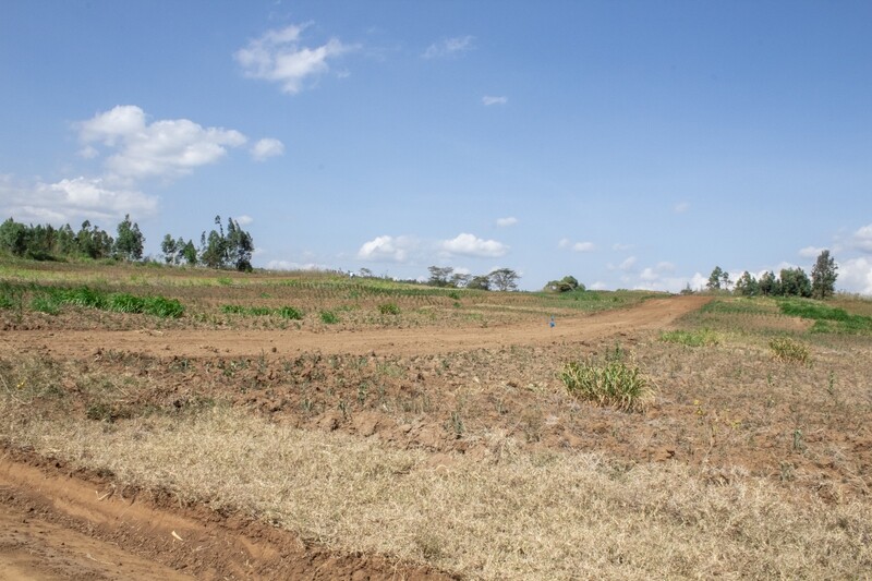 Tumaini Estate