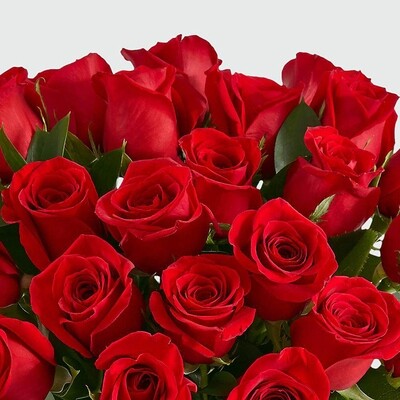 LOVE &amp; ROMANCE
