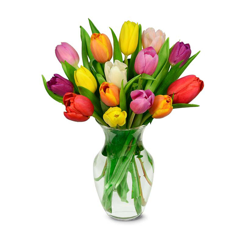 Rainbow Tulip Bouquet