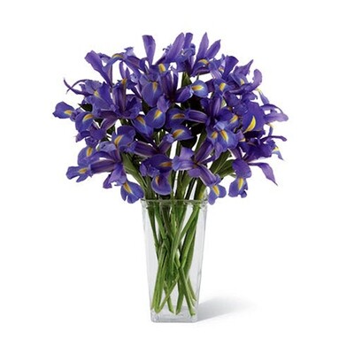 Blue Iris New Baby Bouquet