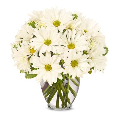 Pushing Daisy Bouquet