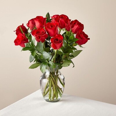 1 dozen Roses Bouquet