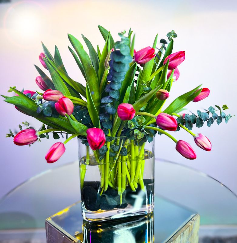 Neon Bloom