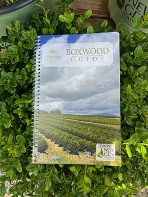 Boxwood Guide 7th Edition