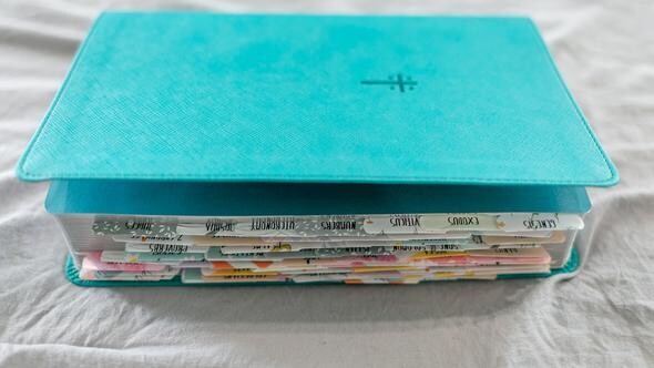 Babe Bible Tabs