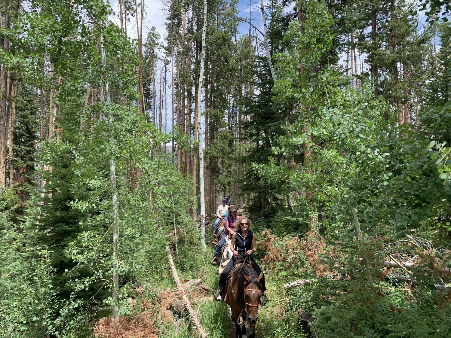 Horseback Riding