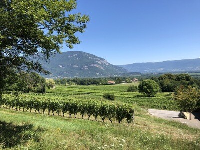 Bugey