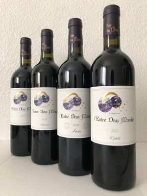 DOMAINE L'ENTRE DEUX MONDES - BORDEAUX