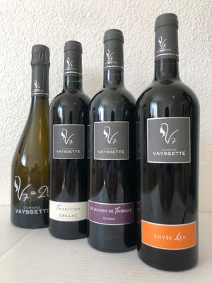 DOMAINE VAYSSETTE - GAILLAC