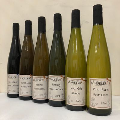 DAMIEN SCHUELLER - ALSACE