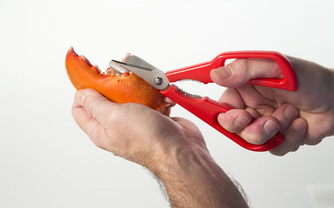 Kitchen Innovations 1413 Detachable Seafood Shears