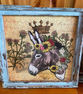 Troublemaker Donkey Crown SM Blue Frame Picture 