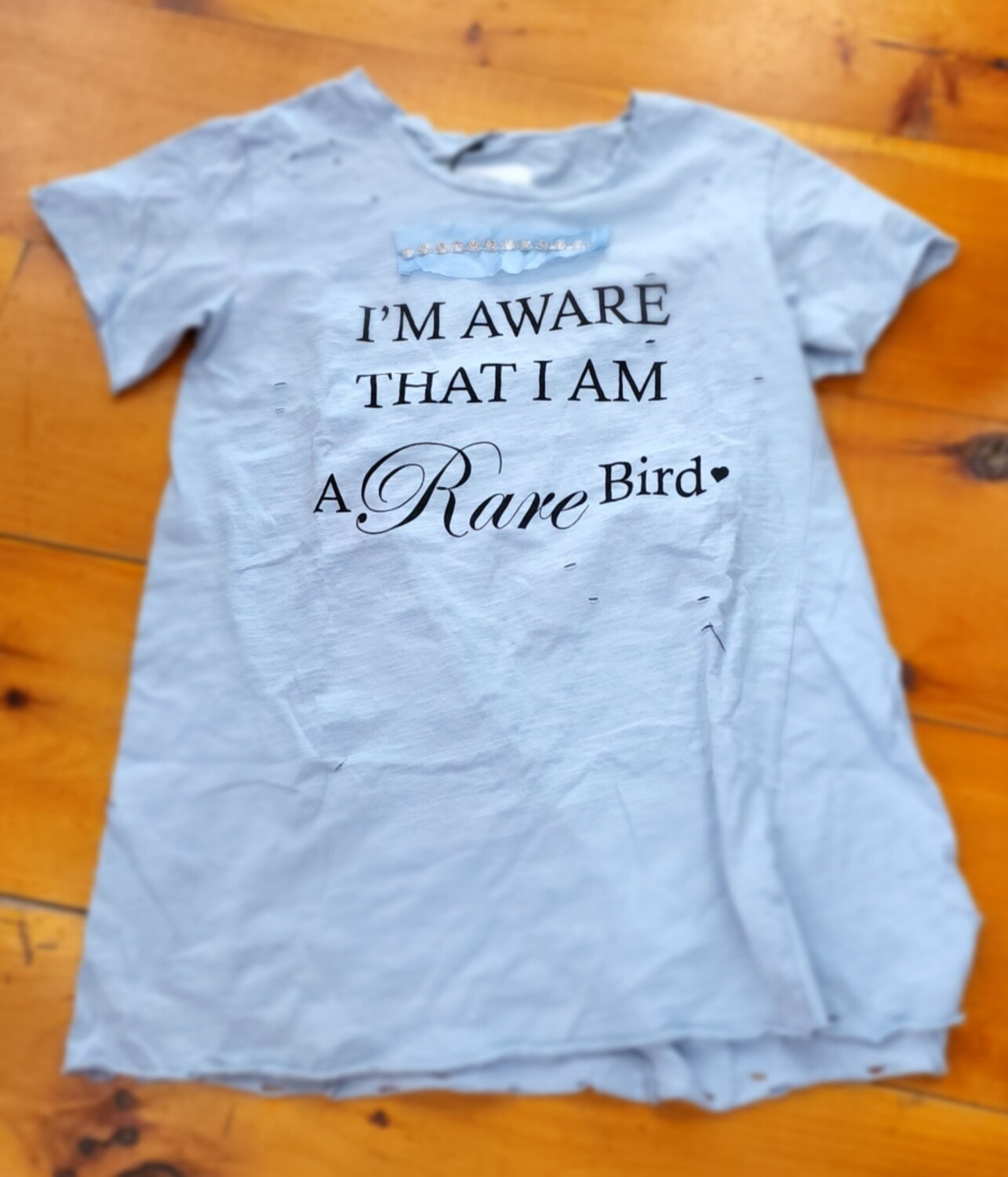 A Rare Bird I'm Aware Rare Bird Tee Shirt 