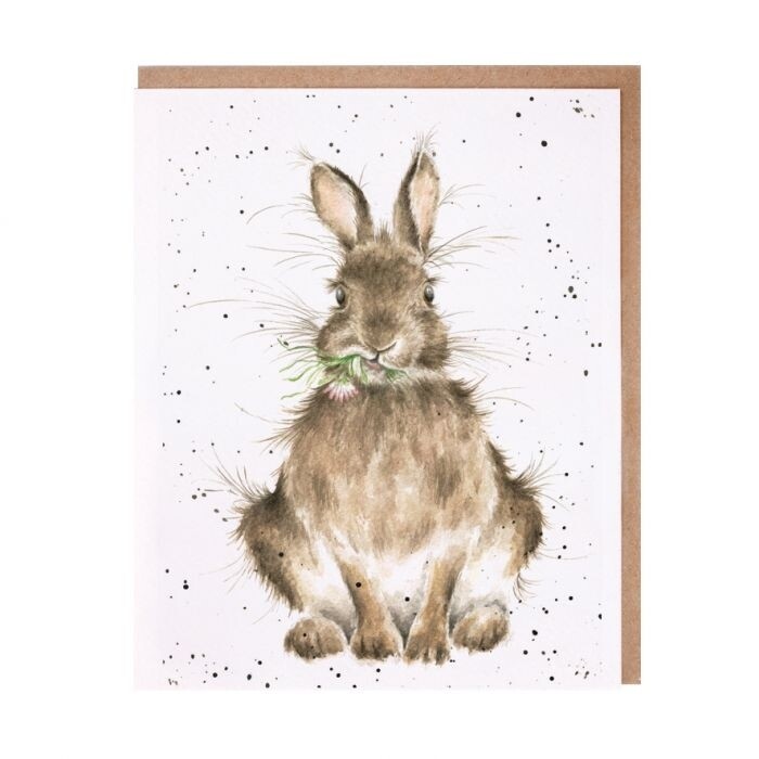Wrendale ACS057 Daisy Rabbit Card 