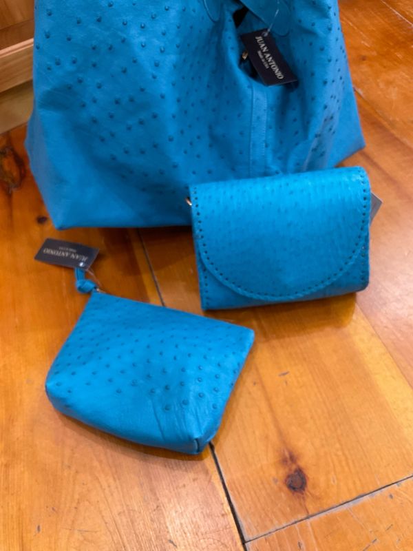 Juan Antonio Turquoise ostrich make-up bag