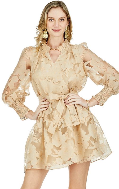 Jade 69G9810 Rose Organza Ruffled Dress