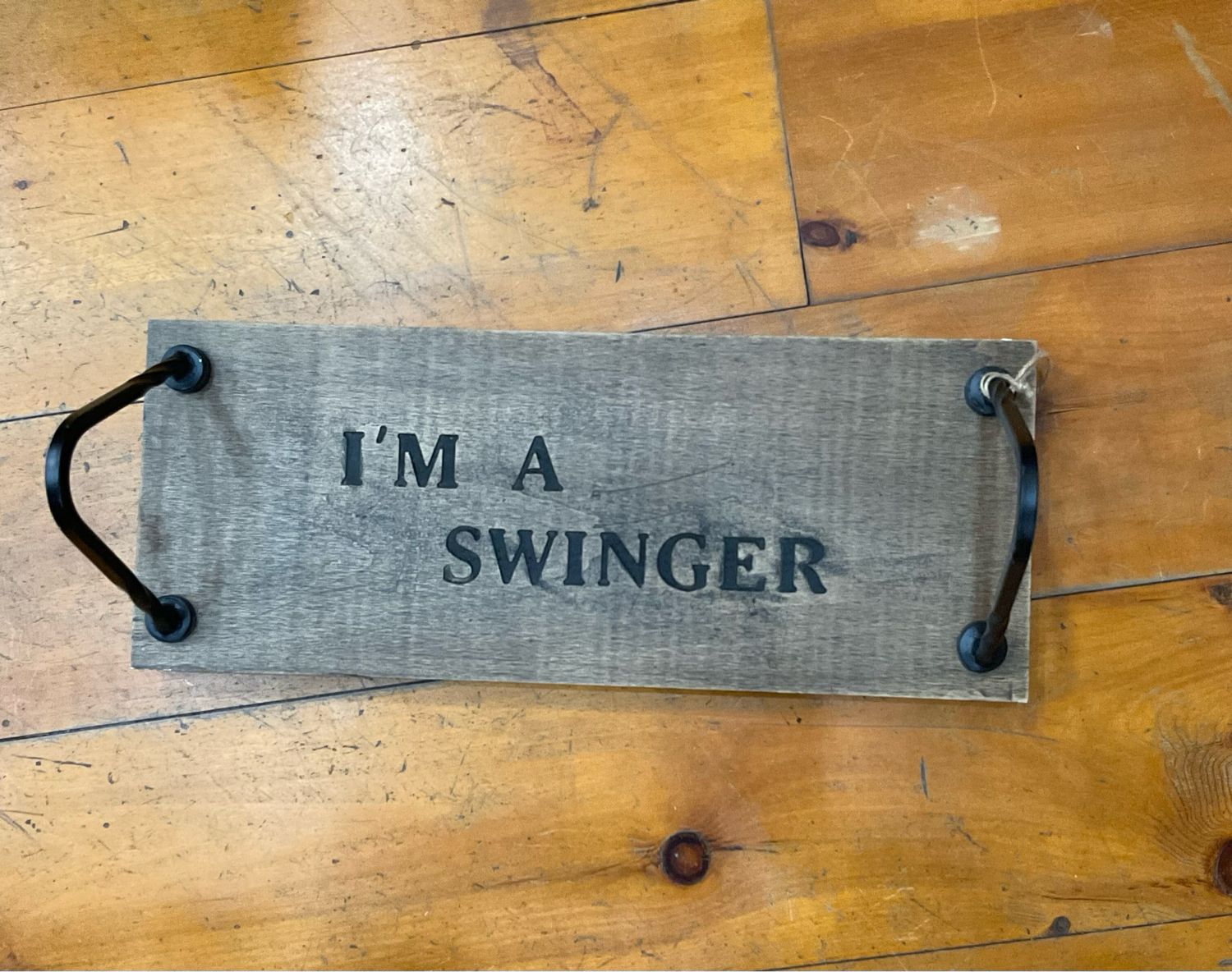 Peacock Park YHSWING7 Swinger Swing 