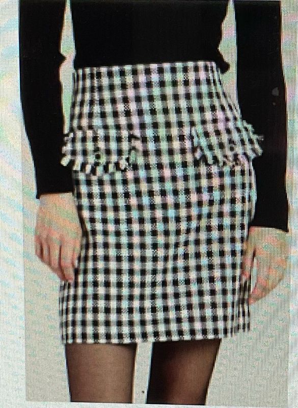 Tyler Boe 50209BB Ashley B&amp;W Check Skirt
