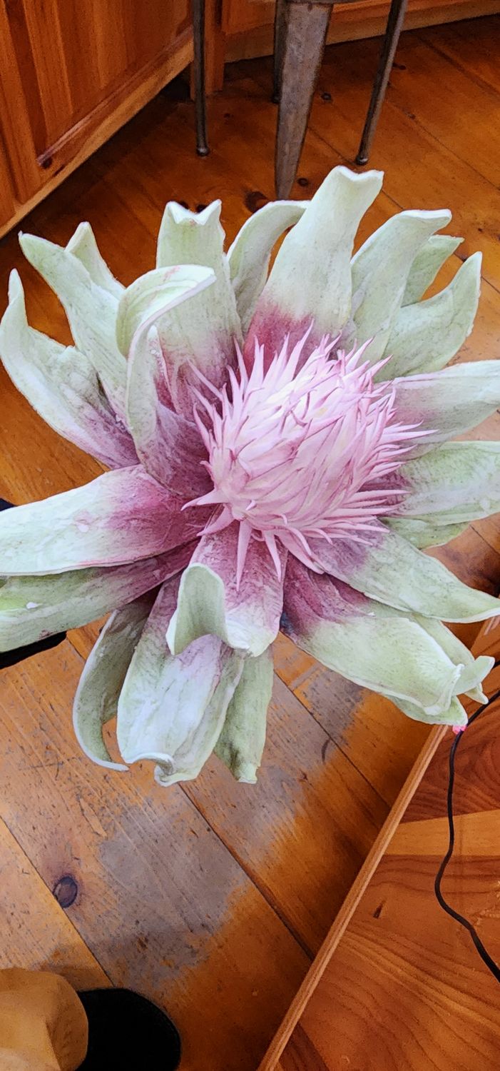 Kalalou CLX2942 Botanica #1142 